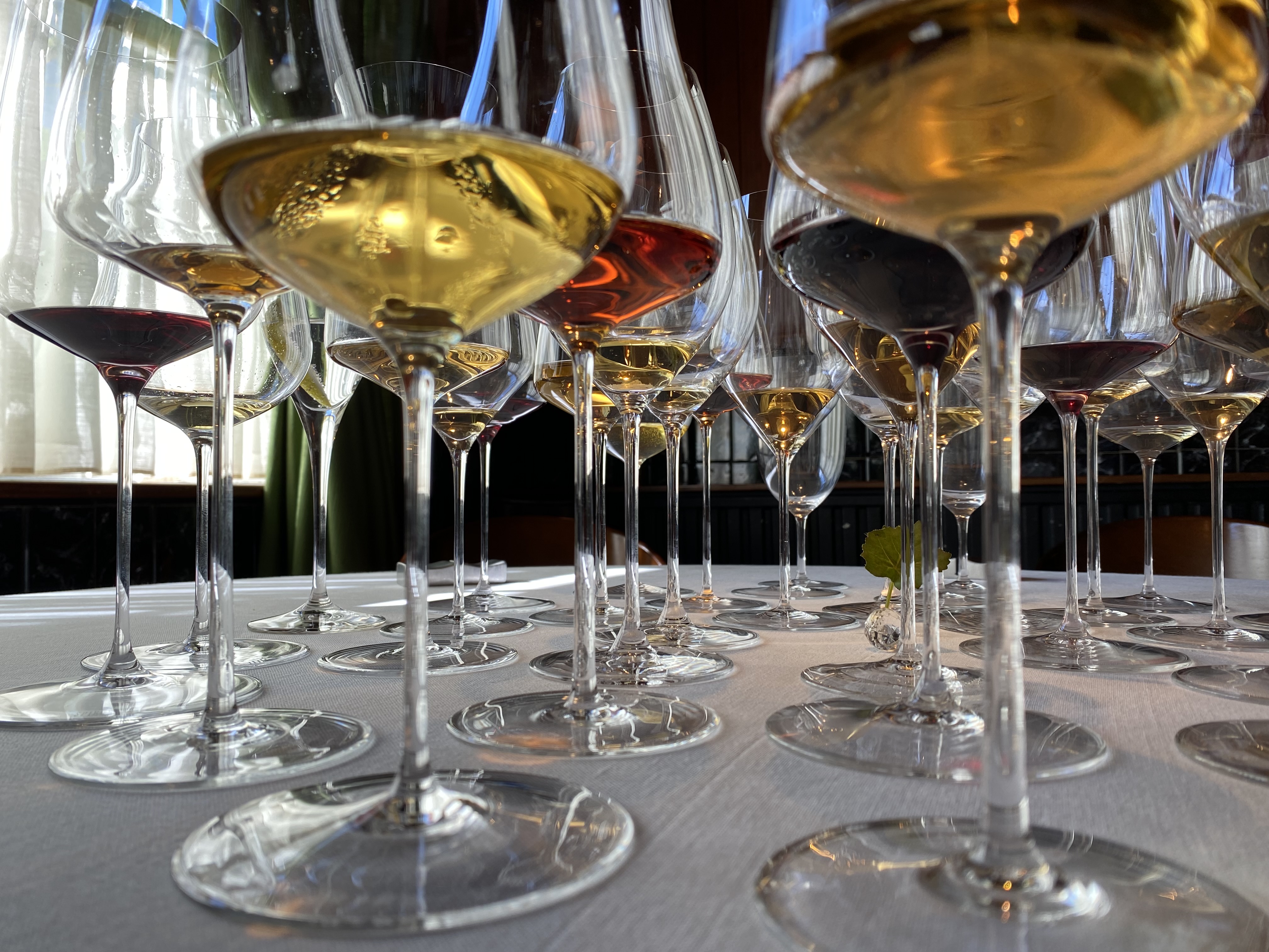 Maridaje de menú degustación